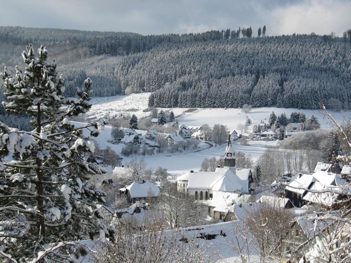 Haus Sonnenhuegel Lejlighed Winterberg Eksteriør billede